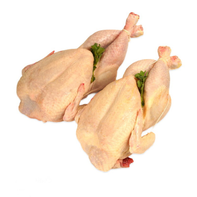 FRESH CHICKEN FROM ARTA ~1.8kg