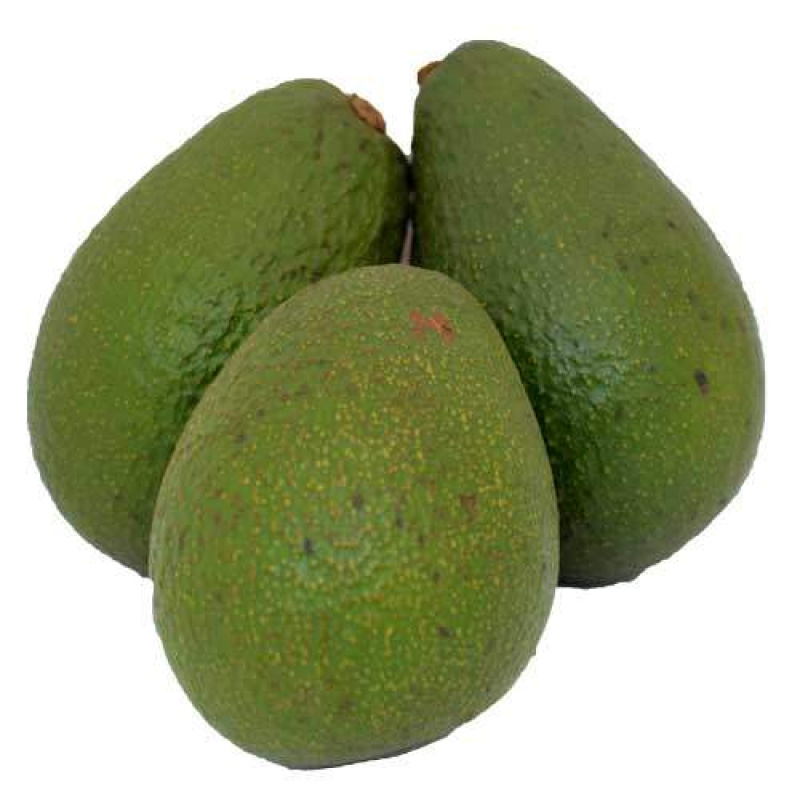 DOMESTIC AVOCADO~500gr