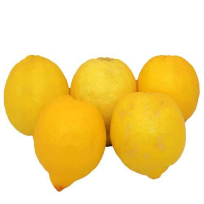 DOMESTIC LEMON ~1kg