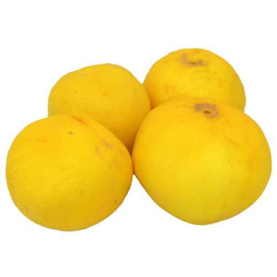 DOMESTIC YELLOW GRAPEFRUIT~1kg