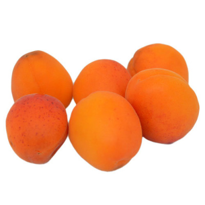 IMPORTED APRICOTS~500gr