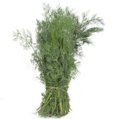 DOMESTIC DILL