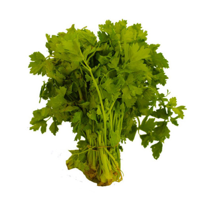 DOMESTIC CELERY