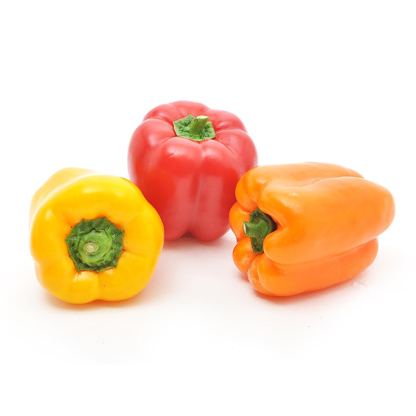 IMPORT VARIOUS PEPPERS 3pcs