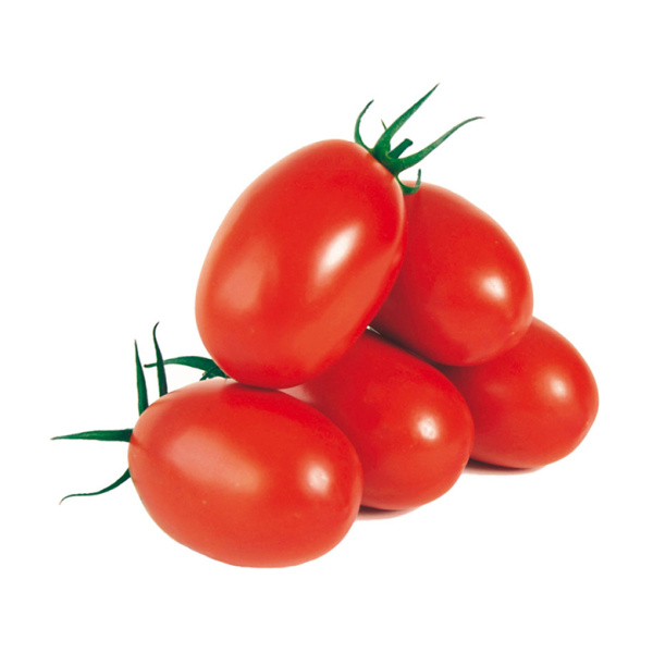 SMALL OVAL TOMATOES ~500gr
