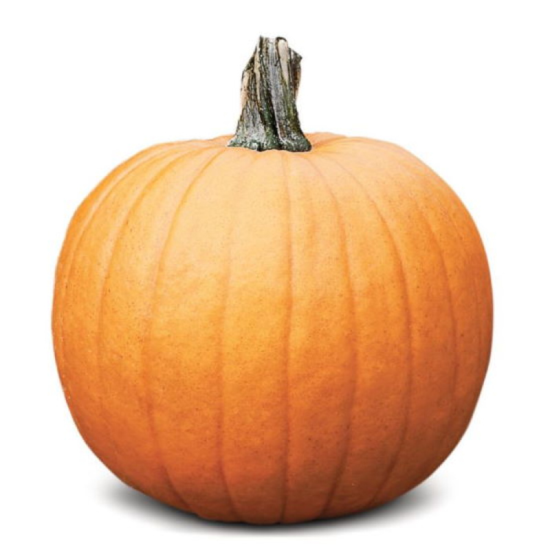 DOMESTIC PUMPKIN ~5kg