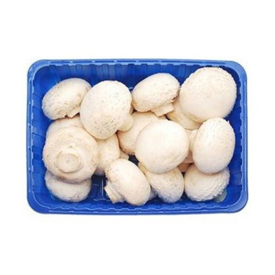 FRESH AGARICUS MUSHROOMS ~500gr