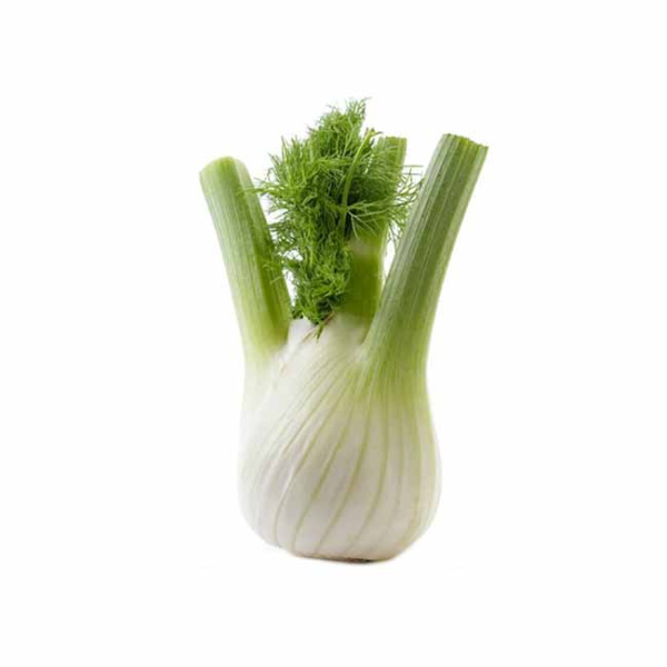 IMPORT FENNEL ~600gr