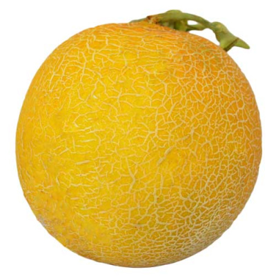 IMPORT MELON~1.3kg