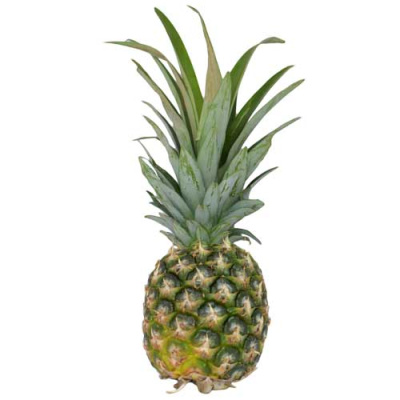 IMPORT PINEAPPLE~1,4kg