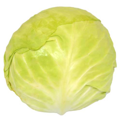 DOMESTIC CABBAGE~2,5kg