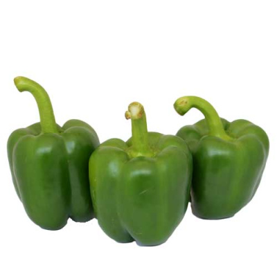 DOMESTIC GREEN PEPPERS~1kg