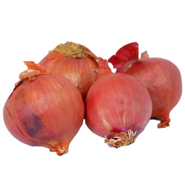 DOMESTIC RED ONIONS~500gr