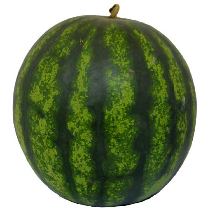 DOMESTIC WATERMELONS~13kg