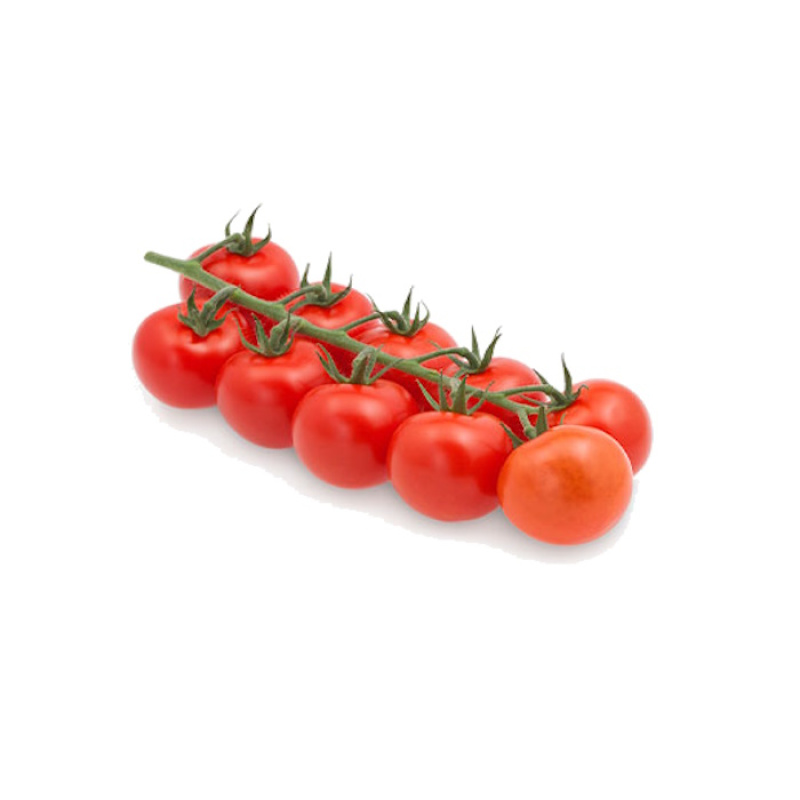 DOMESTIC TOMATOES BUNCH HYDROPONICS ~850gr