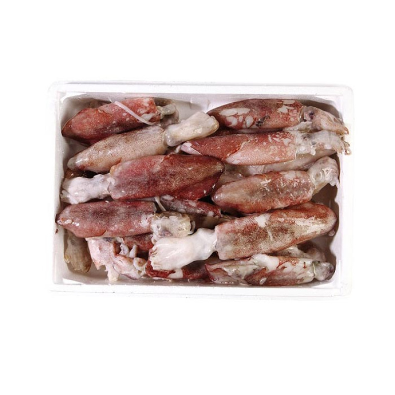 ZAXOS UNPROCESSED SQUID 800gr