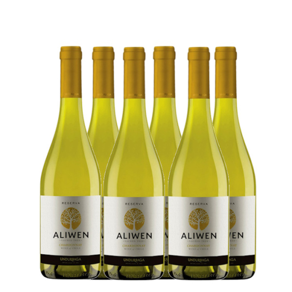 VINA UNDURRAGA ALIWEN CHARDONNAY WHITE WINE 13.5%VOL 750ml 6pcs