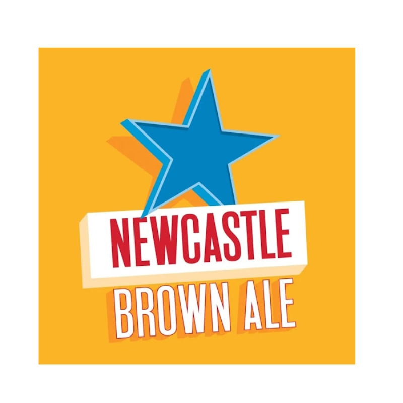 NEWCASTLE BROWN ALE 4,7%VOL 24x330ml