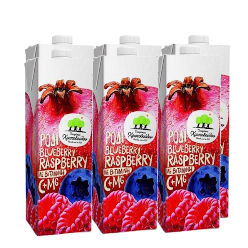 OIKOGENIA CHRISTODOULOU POMEGRANATE BLUEBERRY RASPBERRY 1lt 6pcs