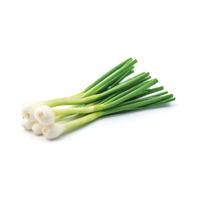 DOMESTIC GREEN ONIONS ~500gr