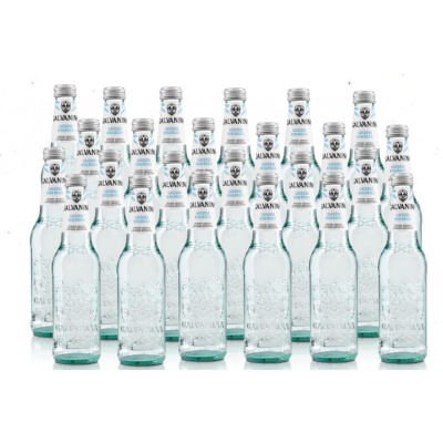 GALVANINA Ανθρακούχο Νερό 355ml 24τεμ.